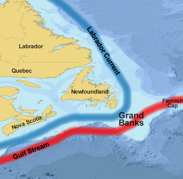 Study identifies new oil presence offshore East Canada